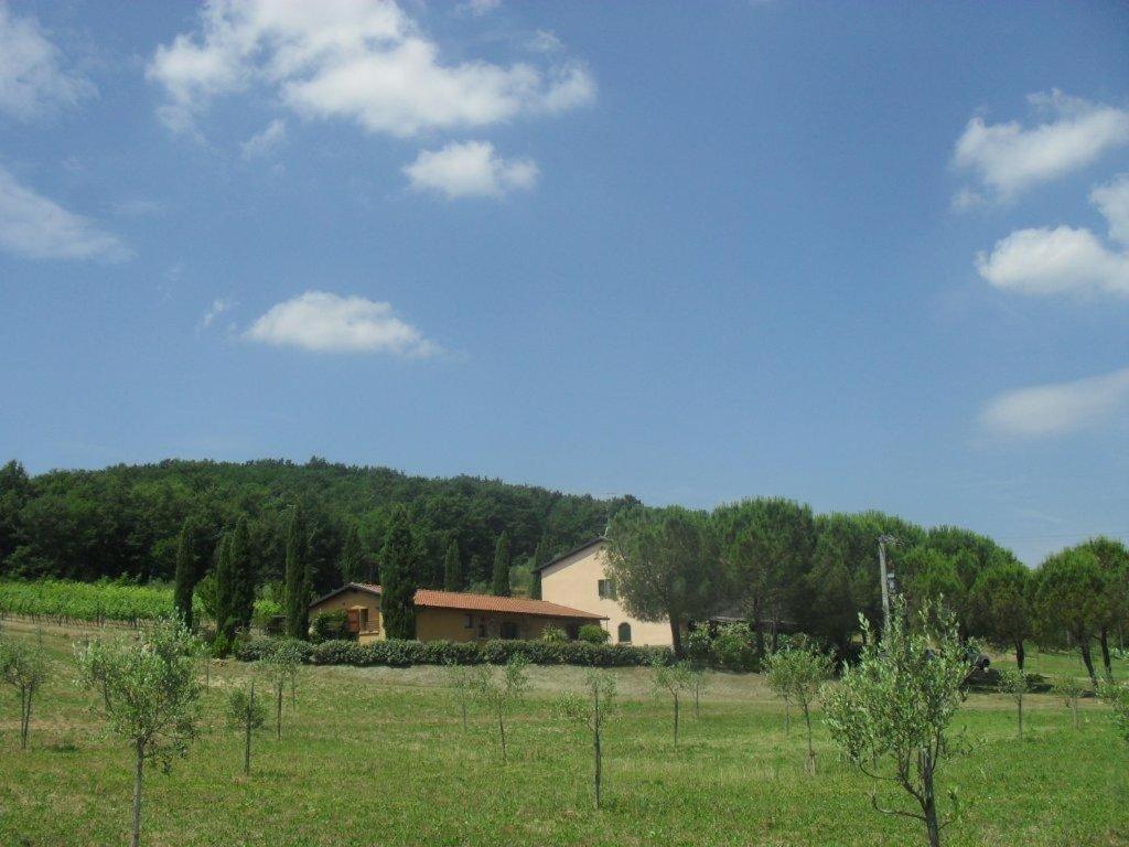 Agriturismo Podere Mulinaccio Ribolla エクステリア 写真