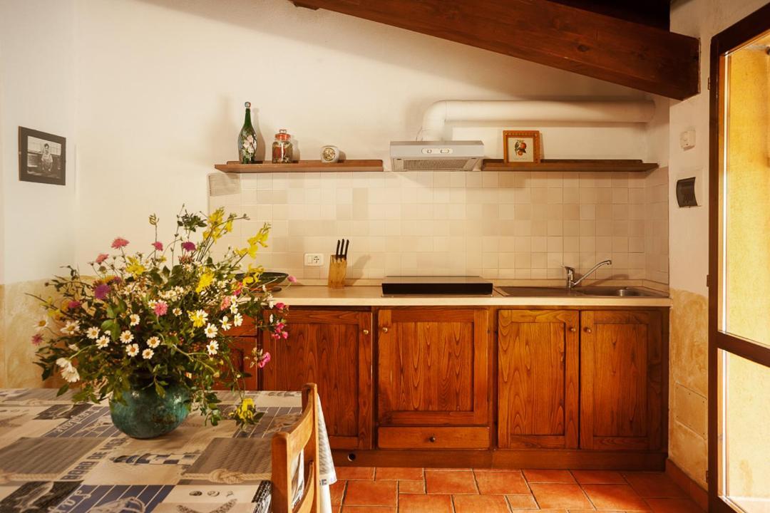 Agriturismo Podere Mulinaccio Ribolla エクステリア 写真