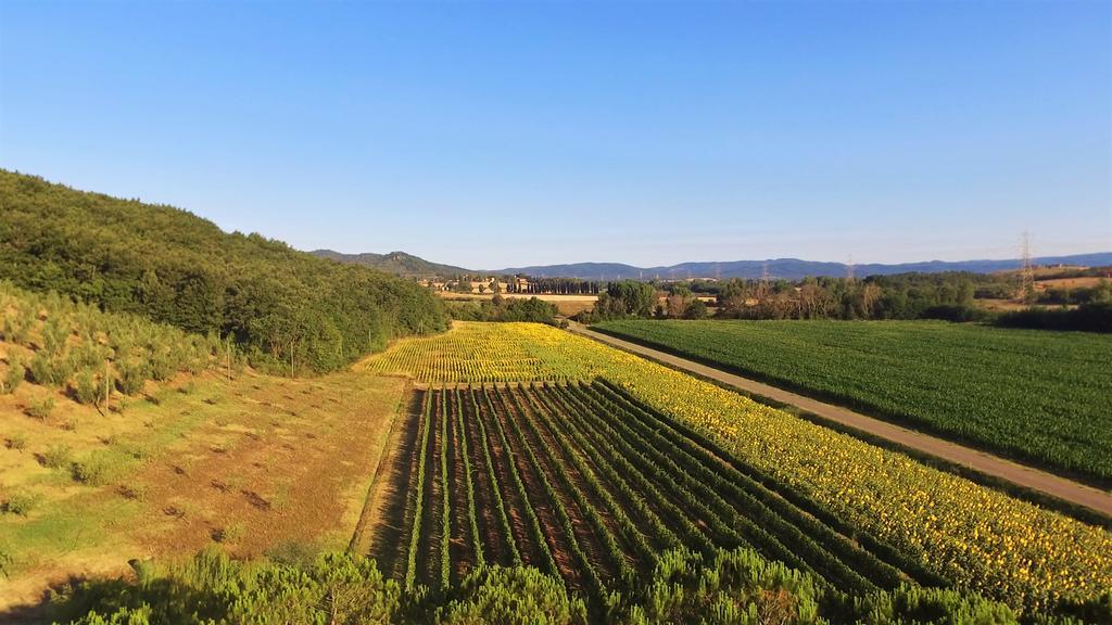 Agriturismo Podere Mulinaccio Ribolla エクステリア 写真