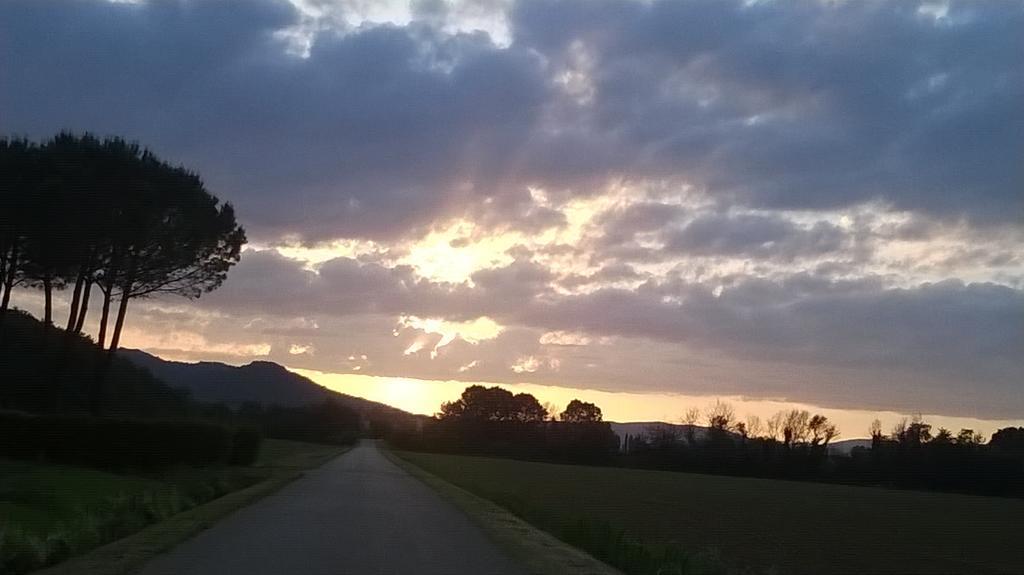 Agriturismo Podere Mulinaccio Ribolla エクステリア 写真