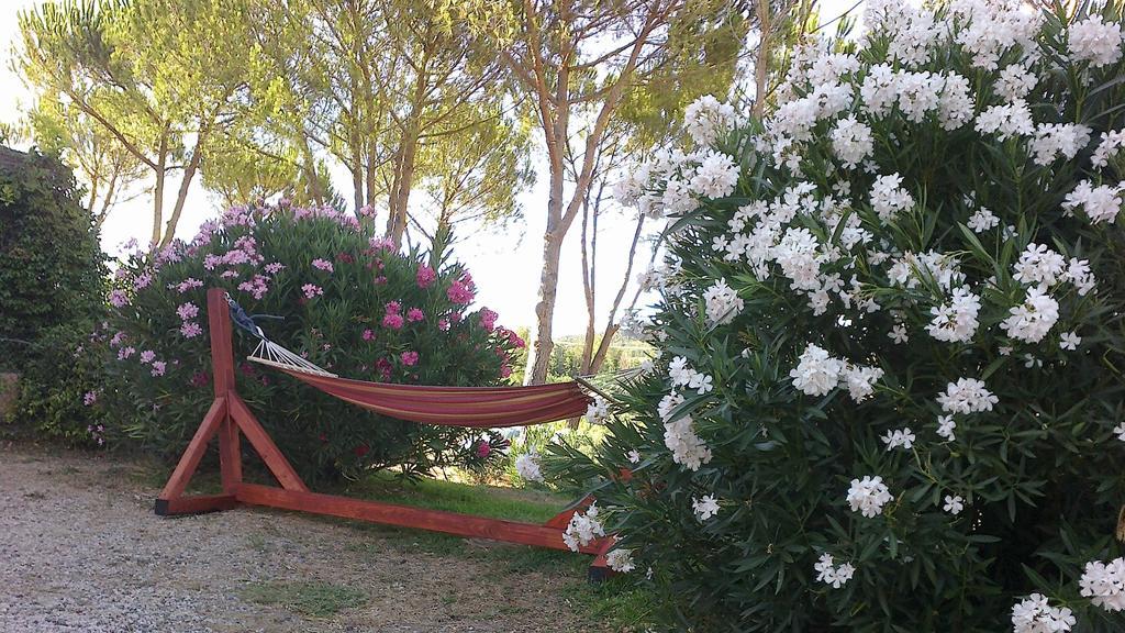 Agriturismo Podere Mulinaccio Ribolla エクステリア 写真