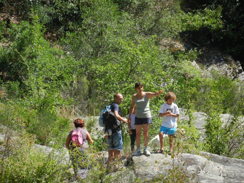 Agriturismo Podere Mulinaccio Ribolla エクステリア 写真