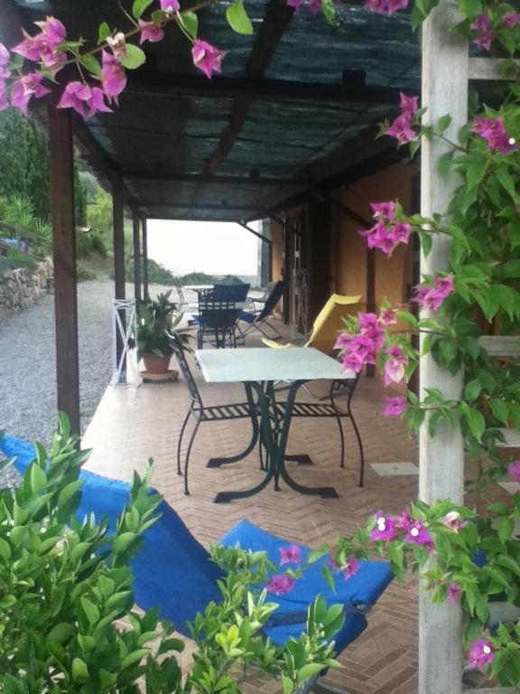 Agriturismo Podere Mulinaccio Ribolla エクステリア 写真